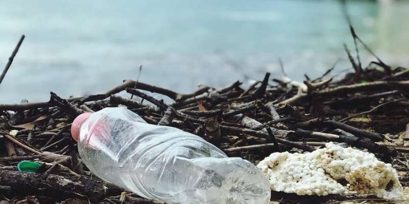 Діє миттєво, впливає на&nbsp;все. Дослідники виявили нову небезпеку пластику