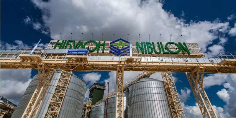 Оптимізм під час війни. Нібулон визначився з інвестиціями в Україну на наступний рік