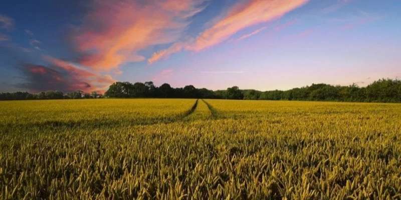В&nbsp;Україні відкрили ринок землі для юросіб